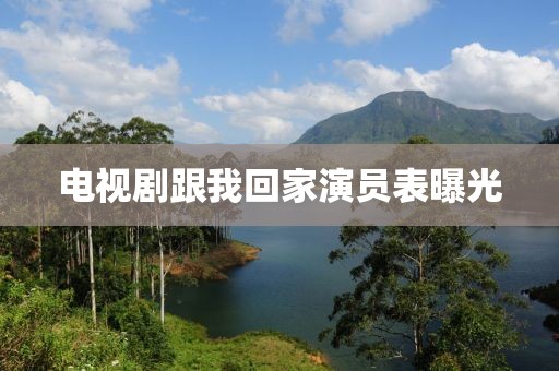 电视剧跟我回家演员表曝光
