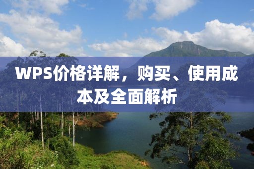 WPS价格详解，购买、使用成本及全面解析