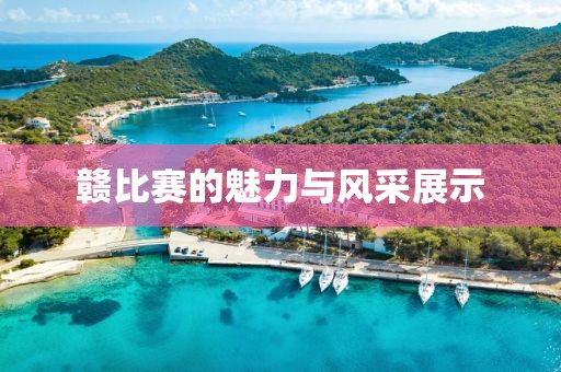 赣比赛的魅力与风采展示