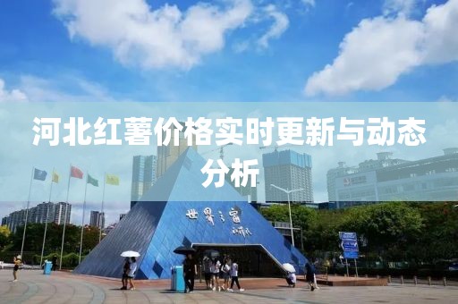河北红薯价格实时更新与动态分析