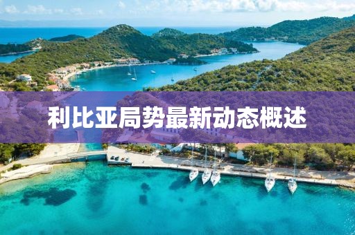 利比亚局势最新动态概述