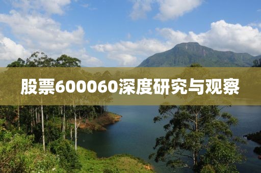 股票600060深度研究与观察