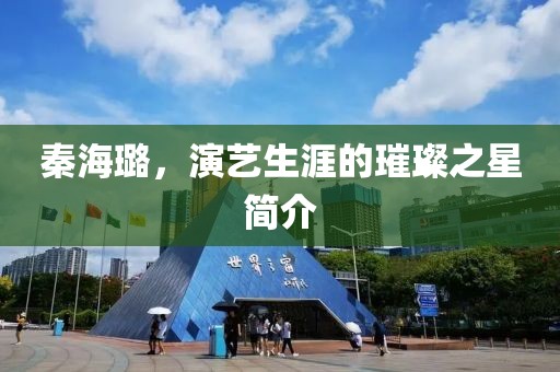 秦海璐，演艺生涯的璀璨之星简介