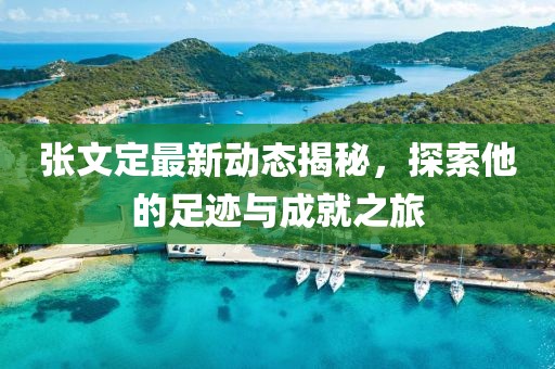 张文定最新动态揭秘，探索他的足迹与成就之旅
