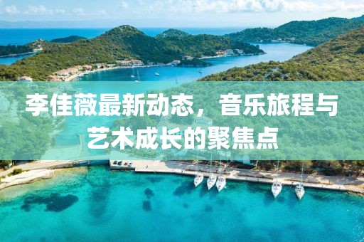 李佳薇最新动态，音乐旅程与艺术成长的聚焦点