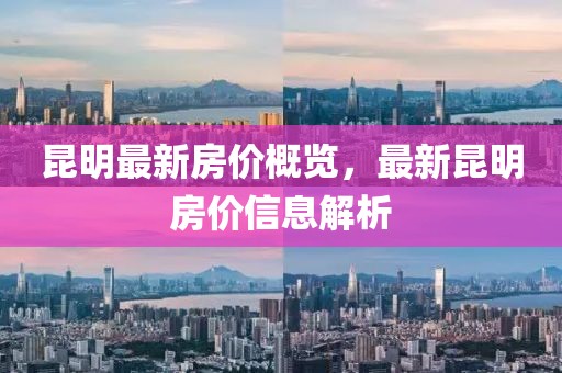 子车米雪 第2页