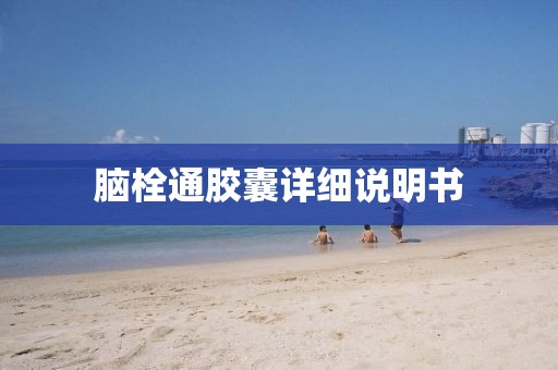 脑栓通胶囊详细说明书