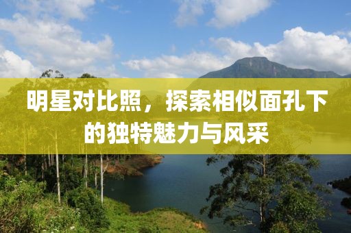 明星对比照，探索相似面孔下的独特魅力与风采