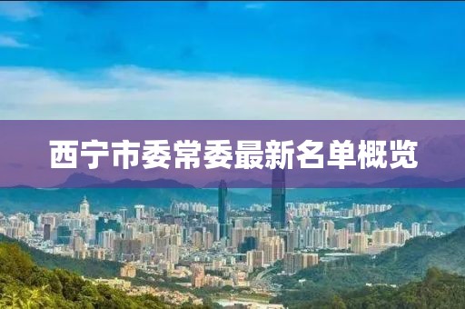 西宁市委常委最新名单概览