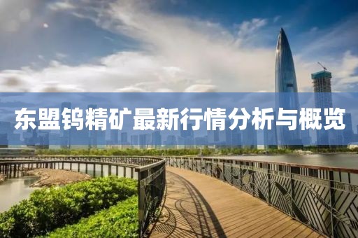 东盟钨精矿最新行情分析与概览