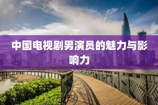 中国电视剧男演员的魅力与影响力