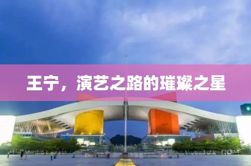 王宁，演艺之路的璀璨之星