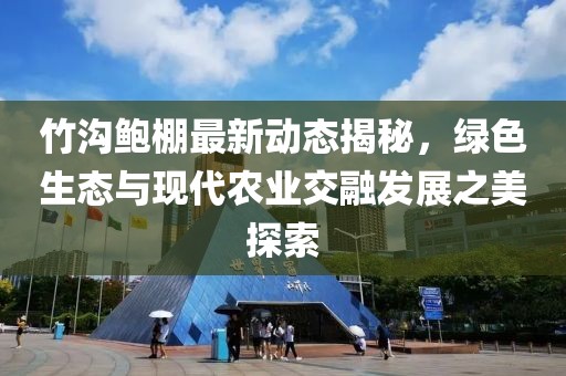 竹沟鲍棚最新动态揭秘，绿色生态与现代农业交融发展之美探索