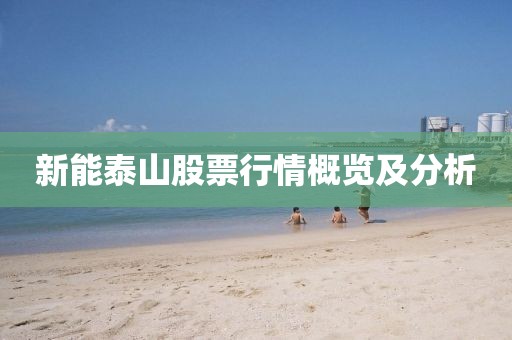 新能泰山股票行情概览及分析