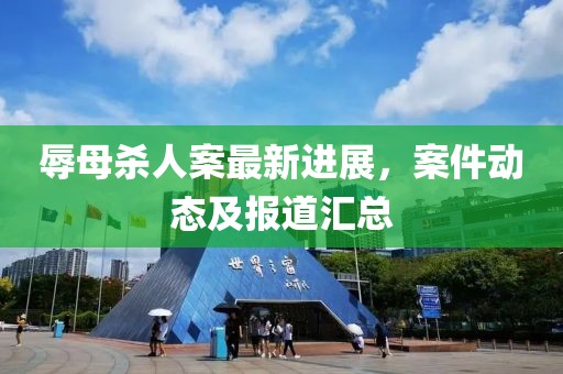 辱母杀人案最新进展，案件动态及报道汇总