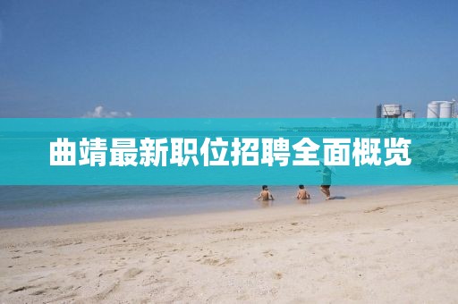 曲靖最新职位招聘全面概览