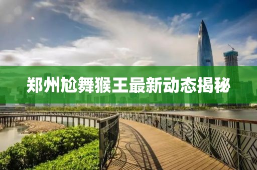 郑州尬舞猴王最新动态揭秘
