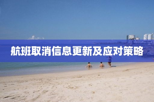 航班取消信息更新及应对策略