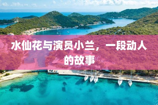 水仙花与演员小兰，一段动人的故事