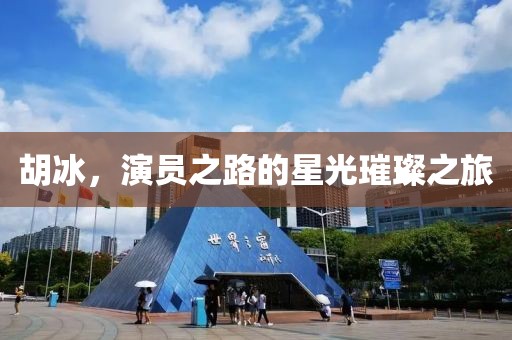胡冰，演员之路的星光璀璨之旅
