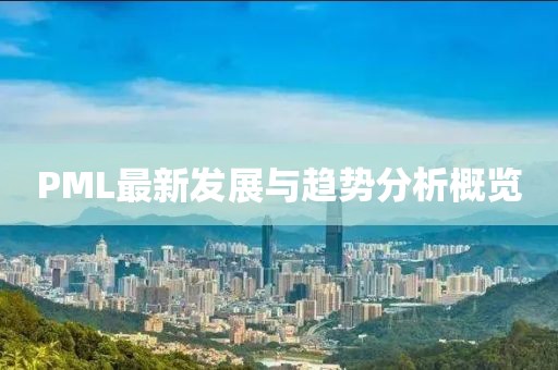 PML最新发展与趋势分析概览