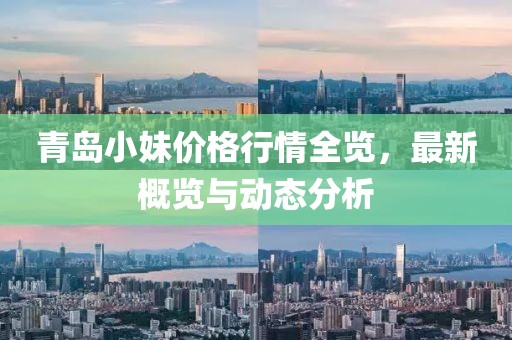 青岛小妹价格行情全览，最新概览与动态分析