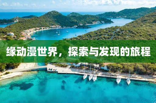 缘动漫世界，探索与发现的旅程