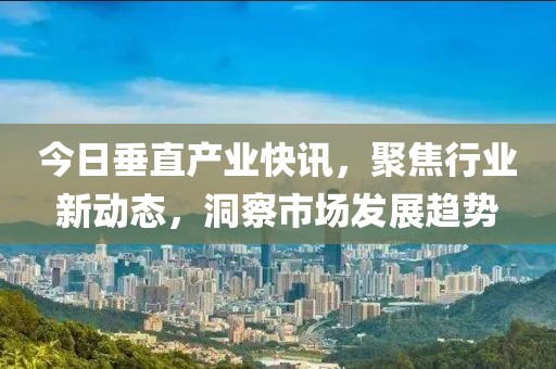 今日垂直产业快讯，聚焦行业新动态，洞察市场发展趋势