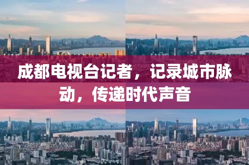 成都电视台记者，记录城市脉动，传递时代声音