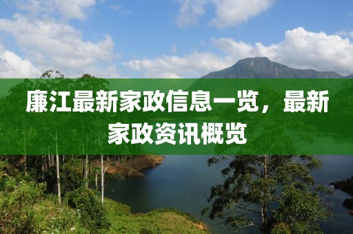廉江最新家政信息一览，最新家政资讯概览