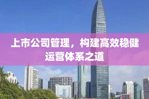 上市公司管理，构建高效稳健运营体系之道
