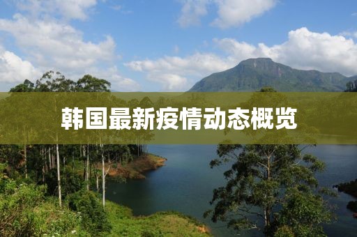 韩国最新疫情动态概览