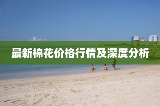 最新棉花价格行情及深度分析
