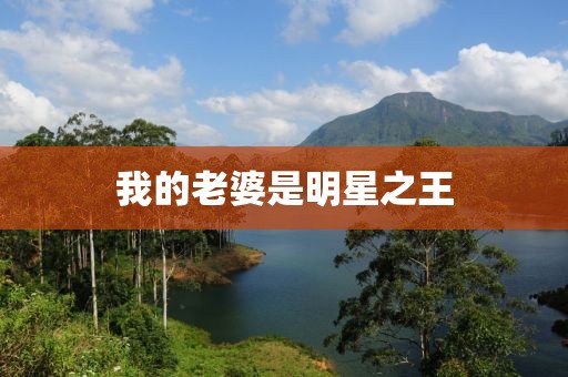 我的老婆是明星之王