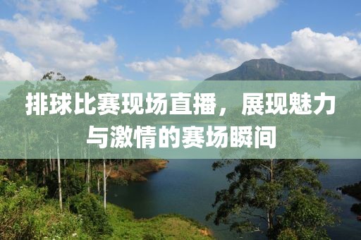 排球比赛现场直播，展现魅力与激情的赛场瞬间