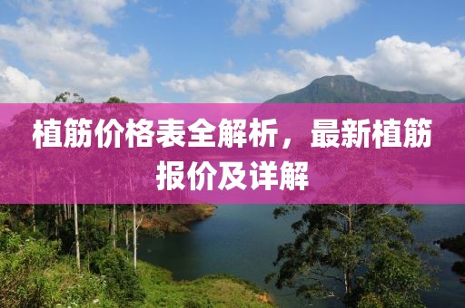 植筋价格表全解析，最新植筋报价及详解