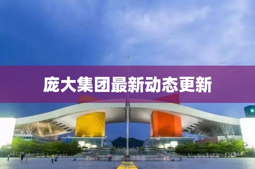 庞大集团最新动态更新