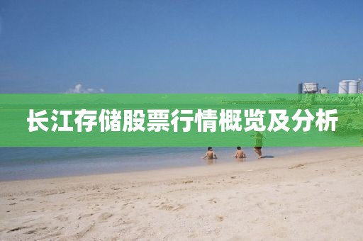 长江存储股票行情概览及分析