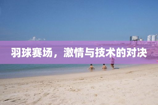 羽球赛场，激情与技术的对决