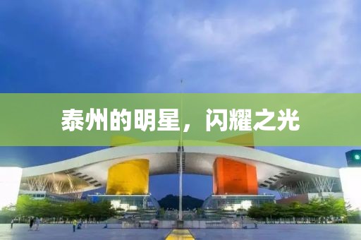 泰州的明星，闪耀之光