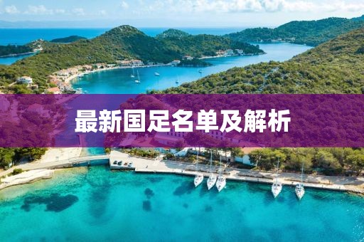 最新国足名单及解析