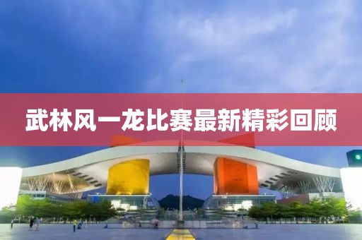 武林风一龙比赛最新精彩回顾