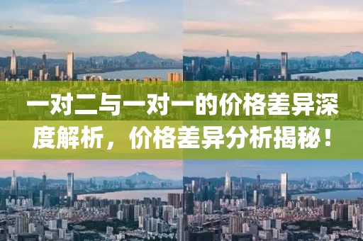 一对二与一对一的价格差异深度解析，价格差异分析揭秘！