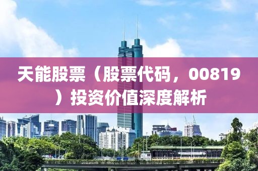 天能股票（股票代码，00819）投资价值深度解析