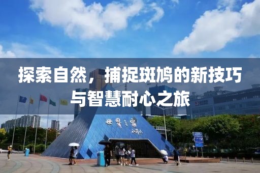 探索自然，捕捉斑鸠的新技巧与智慧耐心之旅