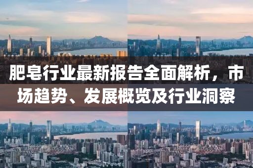 肥皂行业最新报告全面解析，市场趋势、发展概览及行业洞察