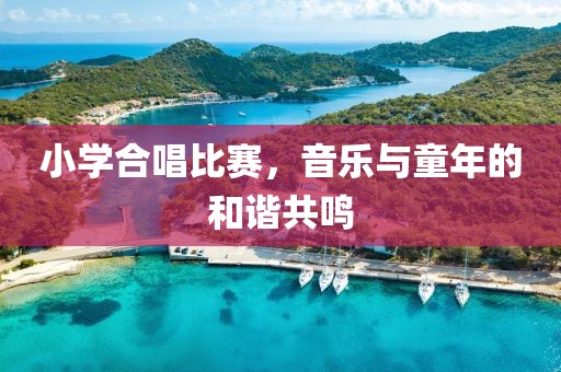 小学合唱比赛，音乐与童年的和谐共鸣