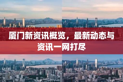 厦门新资讯概览，最新动态与资讯一网打尽