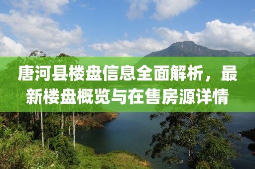 唐河县楼盘信息全面解析，最新楼盘概览与在售房源详情