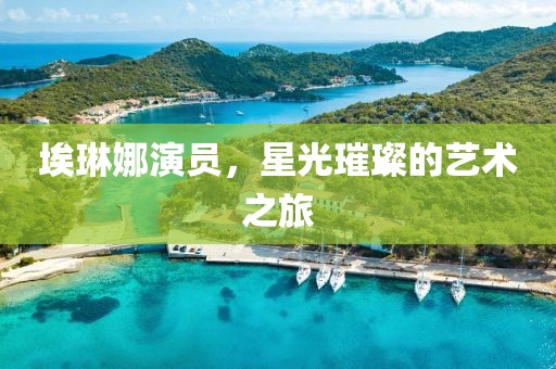 埃琳娜演员，星光璀璨的艺术之旅